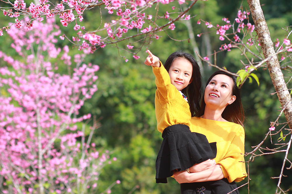Concept chụp hình mẹ và con gái ở Đà Lạt